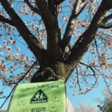 【入学準備】「みてねみまもりGPSトーク」メッセージ機能付きGPSがとっても安心！