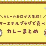 【町田駅徒歩圏内】カレーのお店が大集結！激アツの町田ターミナルプラザで食べられるカレーまとめ