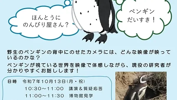 【先着順／申込締切10/8(水)】10/13(月・祝)麻布大学いのちの博物館｢映像とお話しの会｣～ペンギンの目線で視る野生動物の生態～ 開催のお知らせ