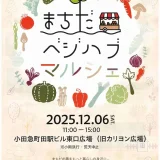 12/6(土)まちだベジハブマルシェ