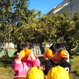 【町田市つくし野】農薬、化学肥料を一切使わない自然栽培方法でみかん本来の味が楽しめる！「つくし野駅前みかん農園」